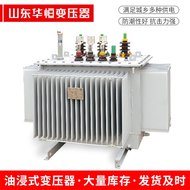 S13-10000/35息县息县息县电力变压器